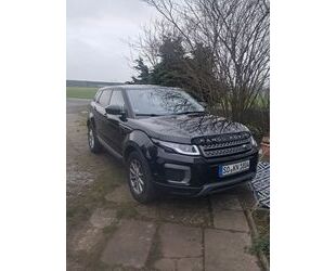 Land Rover Range Rover Evoque Gebrauchtwagen