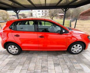 Mini Polo 