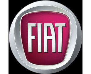 Fiat Punto Gebrauchtwagen
