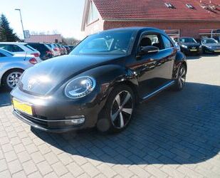 VW Beetle Gebrauchtwagen