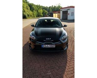 Kia ceed / Ceed Gebrauchtwagen