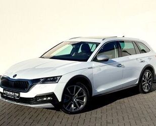 Skoda Octavia Gebrauchtwagen