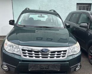 Subaru Forester Gebrauchtwagen