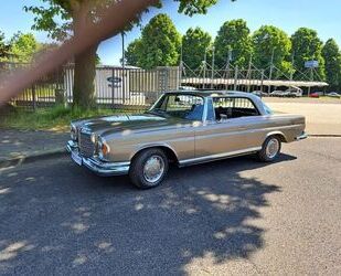Mercedes-Benz Andere Gebrauchtwagen