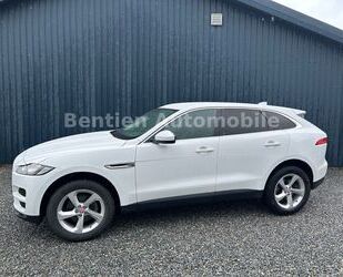 Jaguar F-Pace Gebrauchtwagen