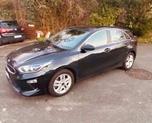 Kia ceed / Ceed Gebrauchtwagen