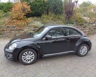 VW Beetle Gebrauchtwagen