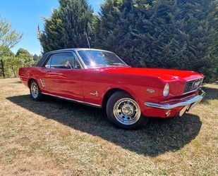 Ford Mustang Gebrauchtwagen