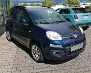 Fiat New Panda Gebrauchtwagen