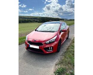 Kia ceed / Ceed Gebrauchtwagen