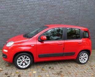 Fiat Panda Gebrauchtwagen