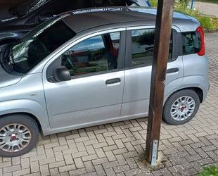 Fiat Panda Gebrauchtwagen