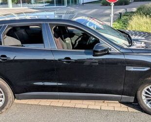 Jaguar F-Pace Gebrauchtwagen
