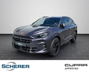Cupra Terramar Gebrauchtwagen