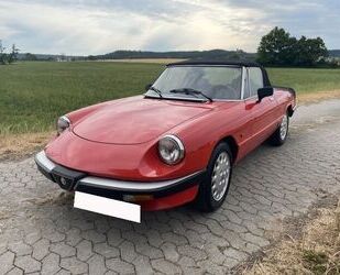 Ford Spider 