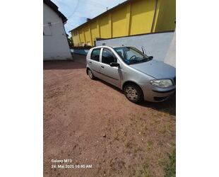 Fiat Punto Gebrauchtwagen