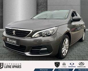 Peugeot 308 Gebrauchtwagen