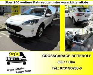 Ford Kuga Gebrauchtwagen