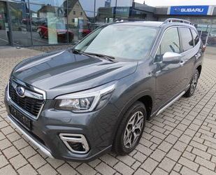 Subaru Forester Gebrauchtwagen