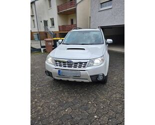 Subaru Forester Gebrauchtwagen