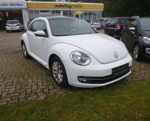 VW Beetle Gebrauchtwagen