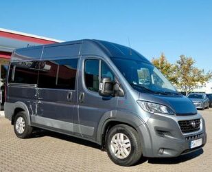 Fiat Ducato Gebrauchtwagen