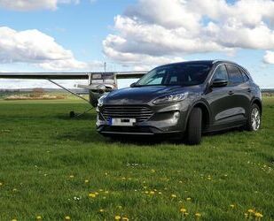 Ford Kuga Gebrauchtwagen