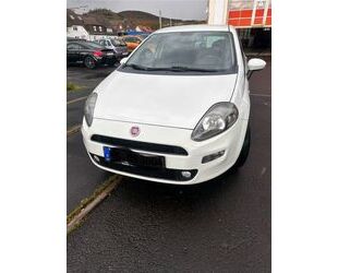 Fiat Punto Evo Gebrauchtwagen