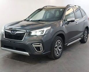 Subaru Forester Gebrauchtwagen