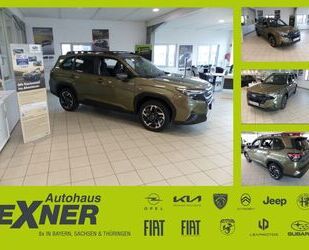 Subaru Forester Gebrauchtwagen