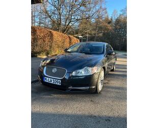 Jaguar XF Gebrauchtwagen