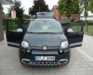 Fiat Panda Gebrauchtwagen