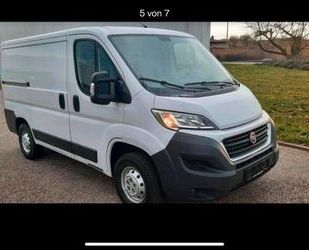 Fiat Ducato Gebrauchtwagen
