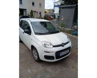 Fiat Panda Gebrauchtwagen