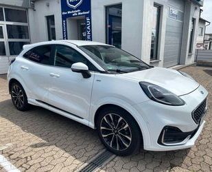 Ford Puma Gebrauchtwagen