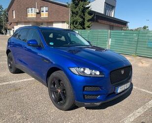 Jaguar F-Pace Gebrauchtwagen
