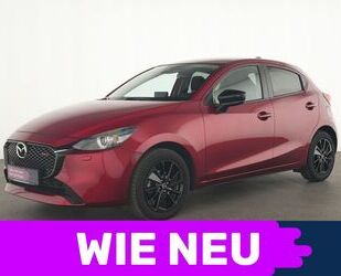 Mazda 2 Gebrauchtwagen