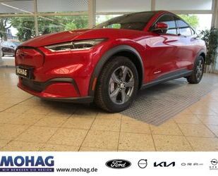 Ford Mustang Mach-E Gebrauchtwagen