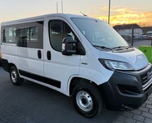 Fiat Ducato Gebrauchtwagen