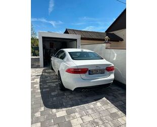 VW XE 