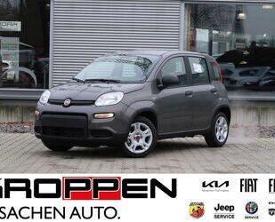 Fiat Panda Gebrauchtwagen