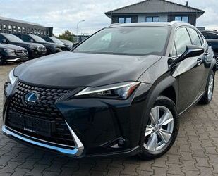 Lexus UX Gebrauchtwagen