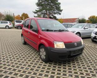 Fiat Panda Gebrauchtwagen