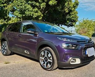 Citroen C4 Cactus Gebrauchtwagen