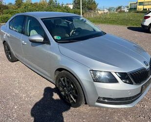 Skoda Octavia Gebrauchtwagen