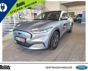 Ford Mustang Mach-E Gebrauchtwagen