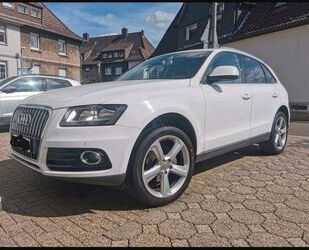 Audi Q5 Gebrauchtwagen