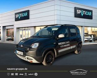 Fiat Panda Gebrauchtwagen
