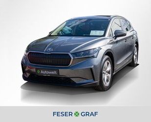 Skoda Enyaq Gebrauchtwagen
