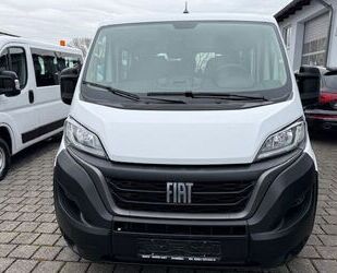 Fiat Ducato Gebrauchtwagen